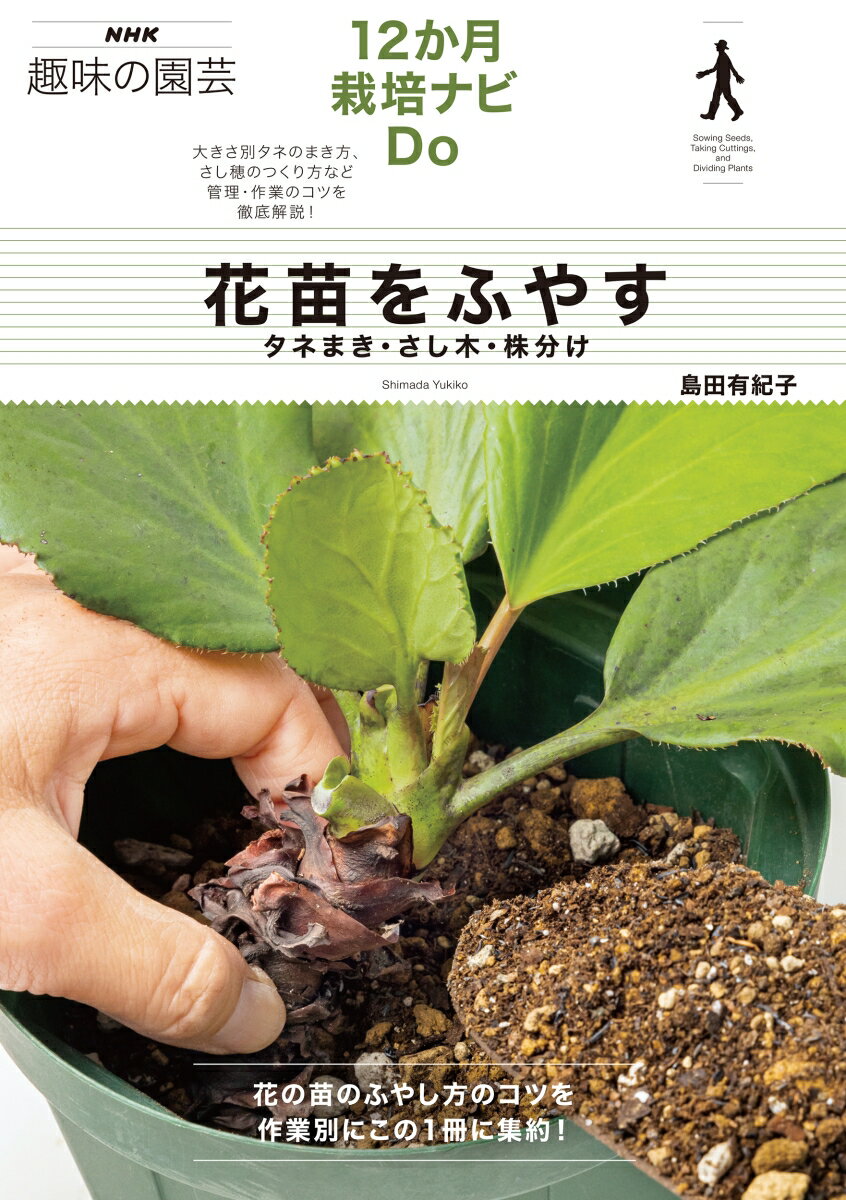 タネまき・さし木・株分け NHK趣味の園芸　12か月栽培ナビDo 島田 有紀子 NHK出版ハナナエヲフヤス シマダ ユキコ 発行年月：2023年05月17日 予約締切日：2023年03月24日 ページ数：112p サイズ：全集・双書 ISBN：9784140403075 島田有紀子（シマダユキコ） 大阪府立大学大学院農学生命科学研究科修了。博士（農学）。広島市植物公園勤務ののち、フリーランスに。ペラルゴニウム属やベゴニア属などの鉢花や草花一般に造詣が深く、特に変わり葉ゼラニウム研究の第一人者。タネまきやさし木などの増殖の技術も高い。「NHK趣味の園芸」の番組・テキストや、各地での講演など家庭園芸ファンへの普及に日々努めており、伝え方のわかりやすさにも定評がある（本データはこの書籍が刊行された当時に掲載されていたものです） 1　ふやし方基本の知識とテクニック（ふやす楽しみは園芸の醍醐味／発芽までのワクワク／株分けが簡単　ほか）／2　12か月栽培ナビ（タネまき・さし木・株分けの年間の管理・作業カレンダー／1・2月／3月　ほか）／3　もっと知りたい！ふえ方、ふやし方（発芽の仕組み／春まき一年草の管理・作業カレンダー／秋まき一年草の管理・作業カレンダー　ほか） 大きさ別タネのまき方、さし穂のつくり方など管理・作業のコツを徹底解説！花の苗のふやし方のコツを作業別にこの1冊に集約！ 本 ビジネス・経済・就職 産業 農業・畜産業 美容・暮らし・健康・料理 ガーデニング・フラワー 花