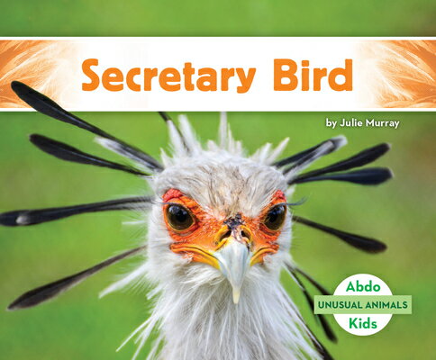 Secretary Bird SECRETARY BIRD （Unusual Animals） [ Julie Murray ]