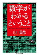 数学がわかるということ