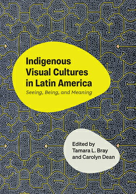 Indigenous Visual Cultures in Latin America: Seeing, Being, and Meaning INDIGENOUS VISUAL CULTURES IN 