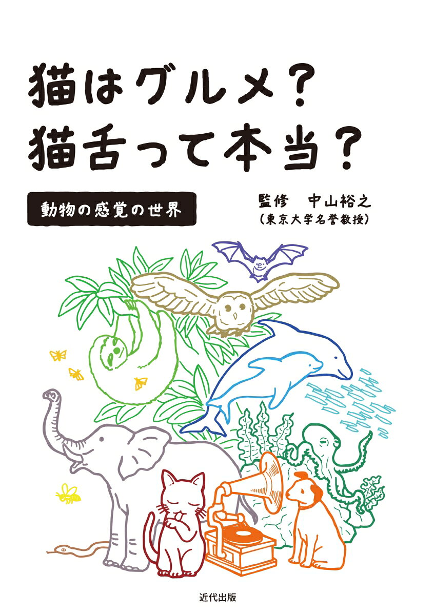 猫はグルメ?猫舌って本当?動物の感覚の世界