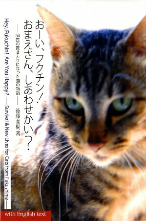 おーい、フクチン！おまえさん、しあわせかい？ 54匹の置き去りになった猫の物語 [ 後藤真樹 ]