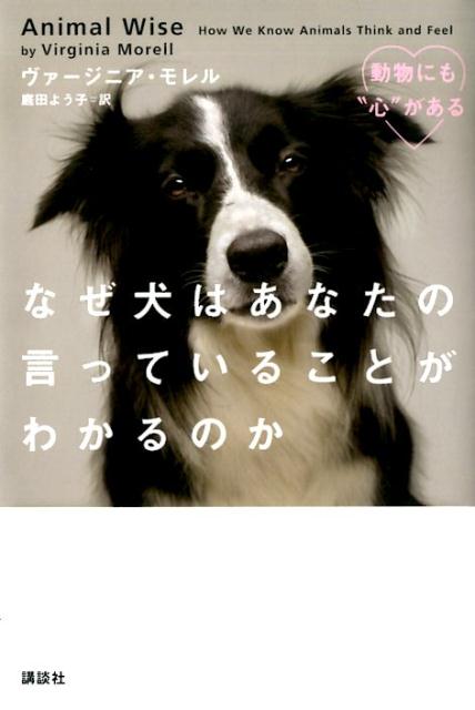 なぜ犬はあなたの言っていることがわかるのか　動物にも“心”がある