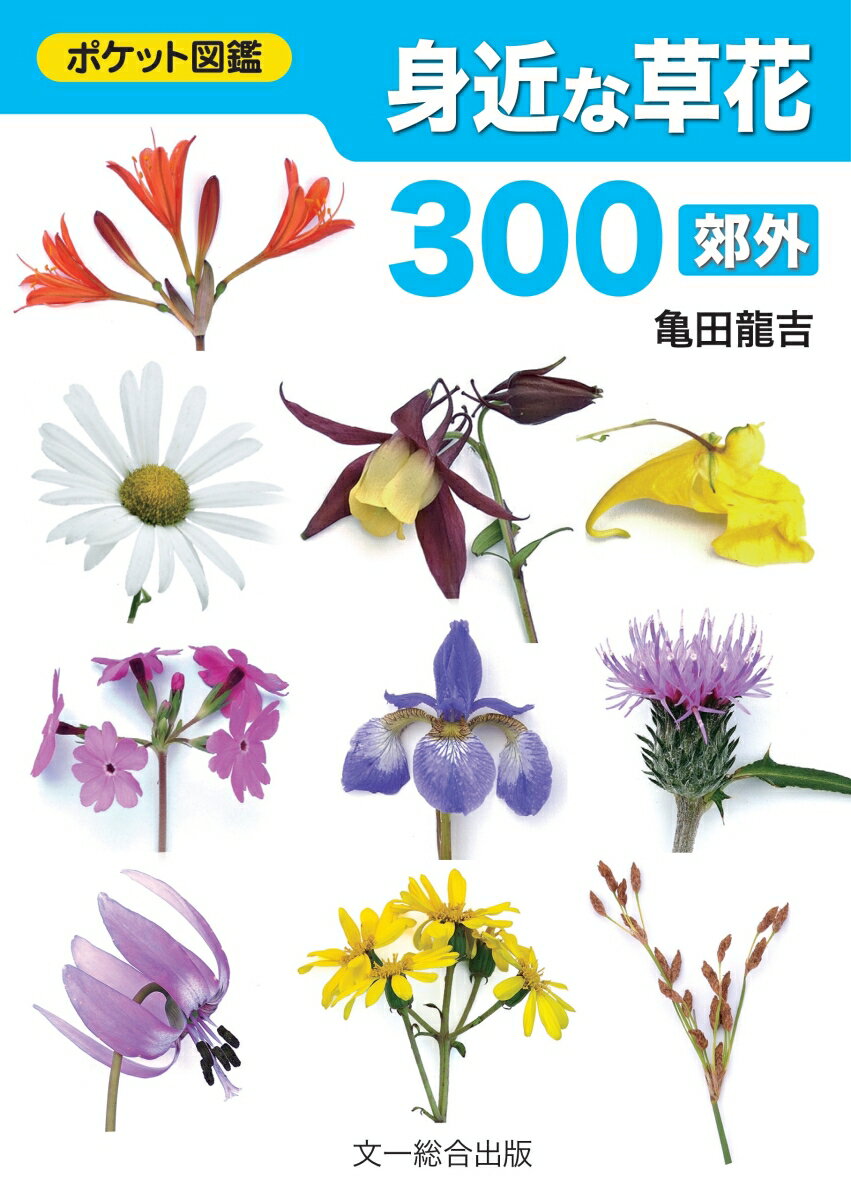 身近な草花300〈郊外〉 （ポケット図鑑） [ 亀田龍吉 ] 1