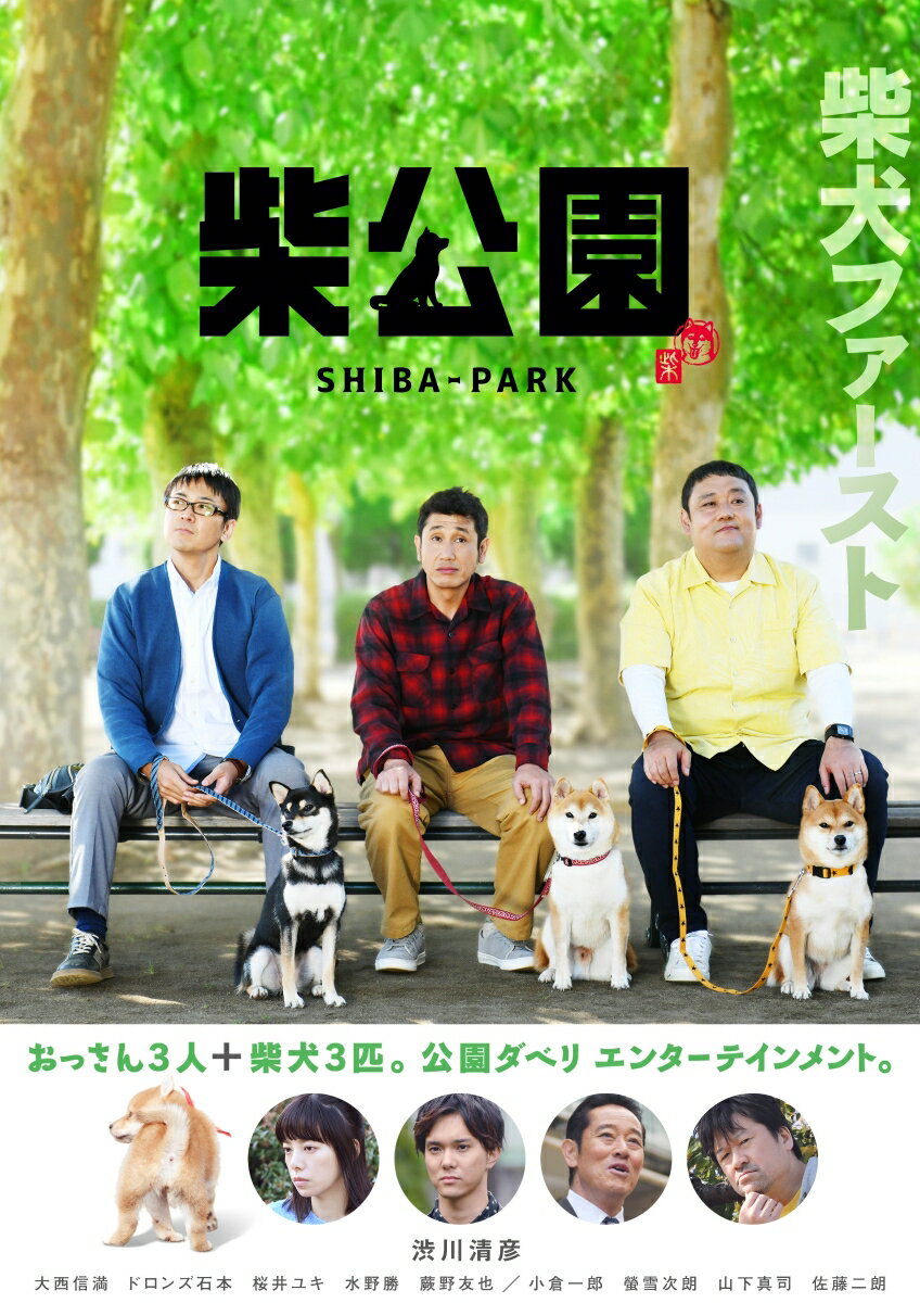 柴公園 TVシリーズ DVD-BOX