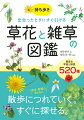 散歩につれていく。すぐに探せる。散歩・散策のおともに。豊富な写真と解説５２０種。