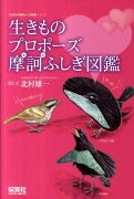 生きものプロポーズ摩訶ふしぎ図鑑