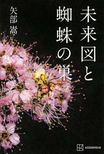 タイトルに蜘蛛が入った本10選の表紙