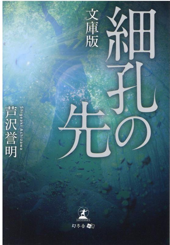 文庫版　細孔の先