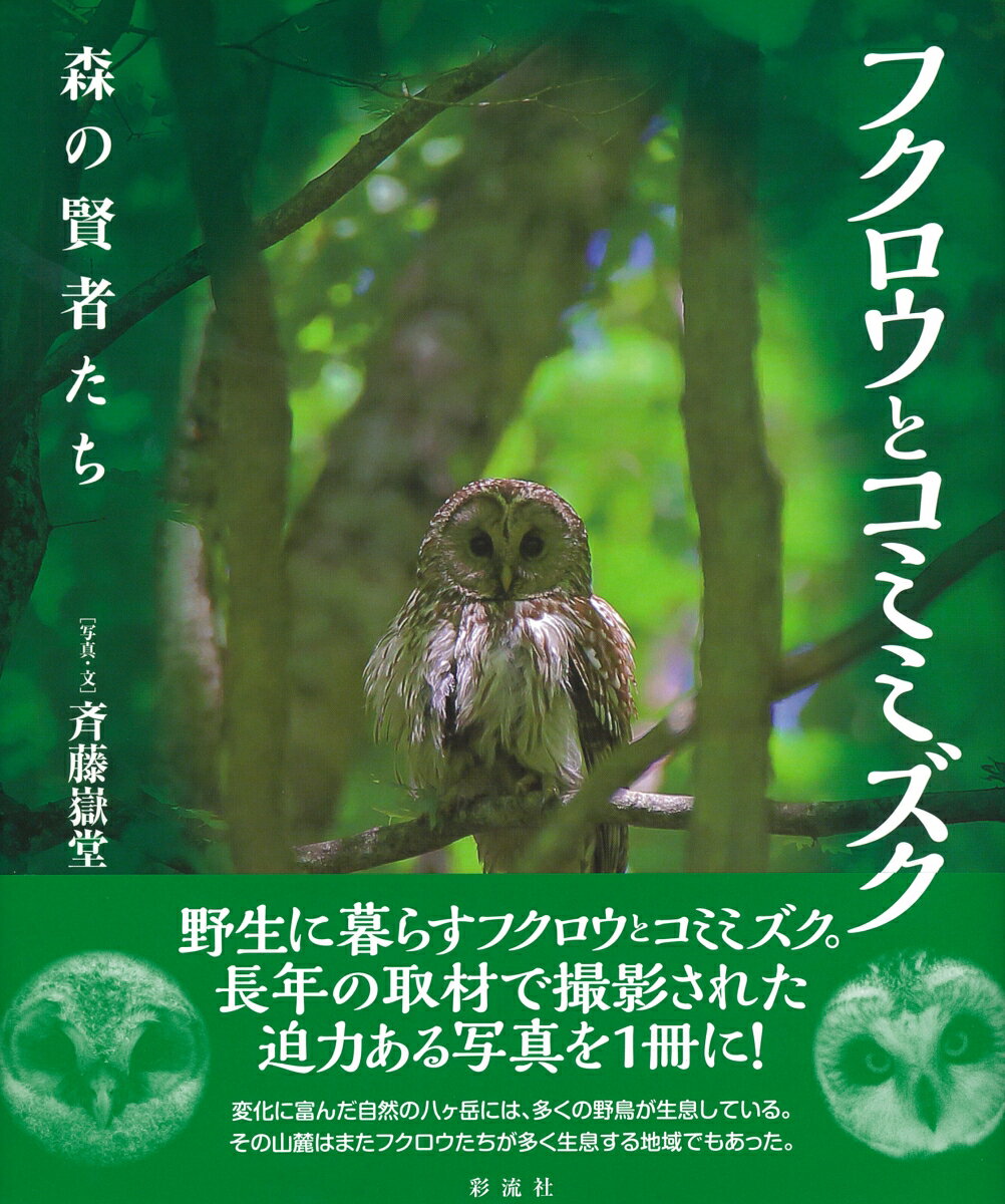フクロウとコミミズク