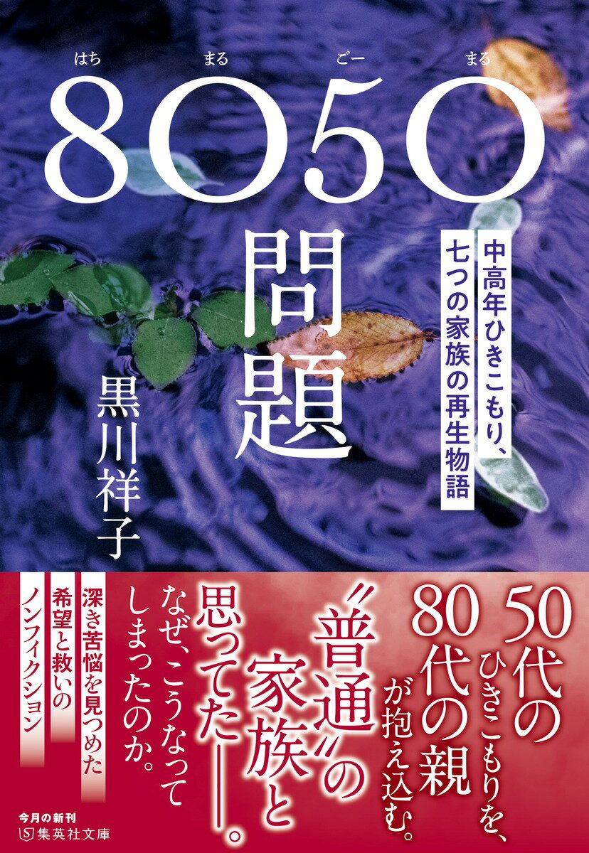 8050問題 中高年ひきこもり、七つの家族の再...の紹介画像2