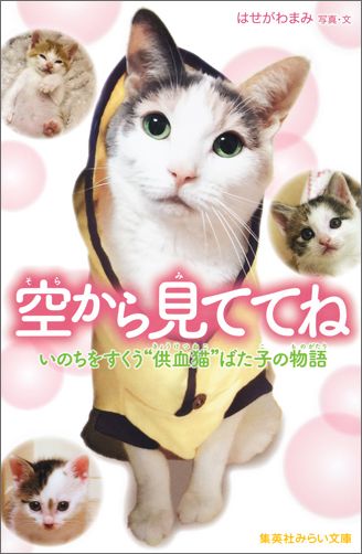 ばた子ちゃんは、“供血猫”でした。“供血猫”とは、ケガや病気の仲間のために血をわけてあげる仕事をする猫のこと。私がトリマーとして働いていた動物病院にいました。病気で余命宣告を受け、家でひきとったこと、お空に旅立つまでいっしょにいたことー。とても大切な思い出です。今は、３匹の子猫とくらしているけれど、空から見ていてくれるかな。小学中級から。