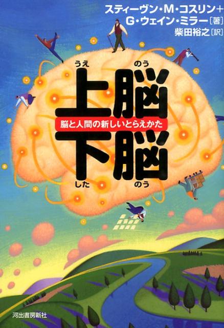 上脳・下脳