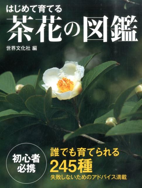 それぞれの花の育て方に加え、随所にその花を入れた茶花作品が紹介されています。「茶花の育て方の基本」ではイラストを豊富に使用。具体的な栽培のポイントがよくわかります。