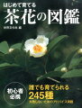 それぞれの花の育て方に加え、随所にその花を入れた茶花作品が紹介されています。「茶花の育て方の基本」ではイラストを豊富に使用。具体的な栽培のポイントがよくわかります。