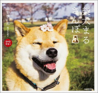 柴犬まるさんぽ DVD付き!の表紙