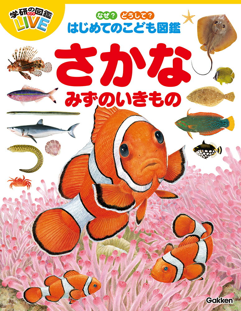 なぜ？どうして？はじめてのこども図鑑　さかな・みずのいきもの