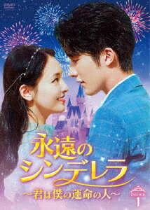 永遠のシンデレラ〜君は僕の運命の人〜 DVD-BOX1