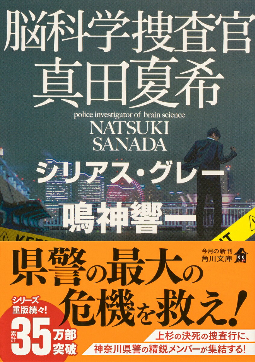 脳科学捜査官 真田夏希 シリアス・グレー(16...の紹介画像2