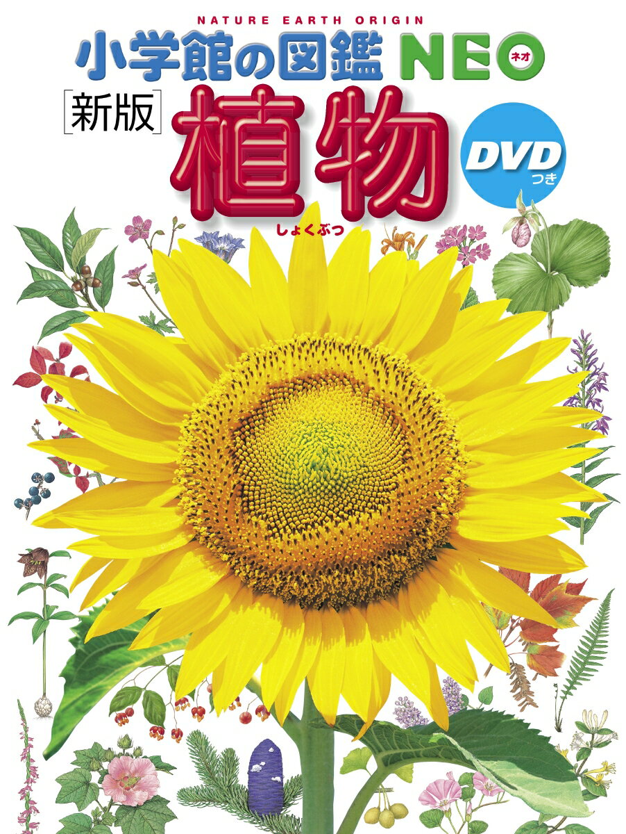 小学館の図鑑NEO〔新版〕 植物 DVDつき [ 門田 裕一 ]