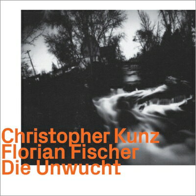 Die Unwucht 