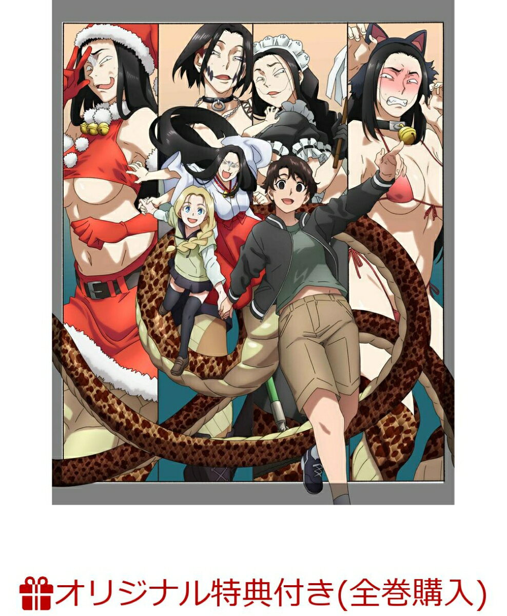 【楽天ブックス限定全巻購入特典】令和のダラさん 第3巻 (通常版)(アニメ描き下ろしイラスト使用A5キャラファイングラフ)