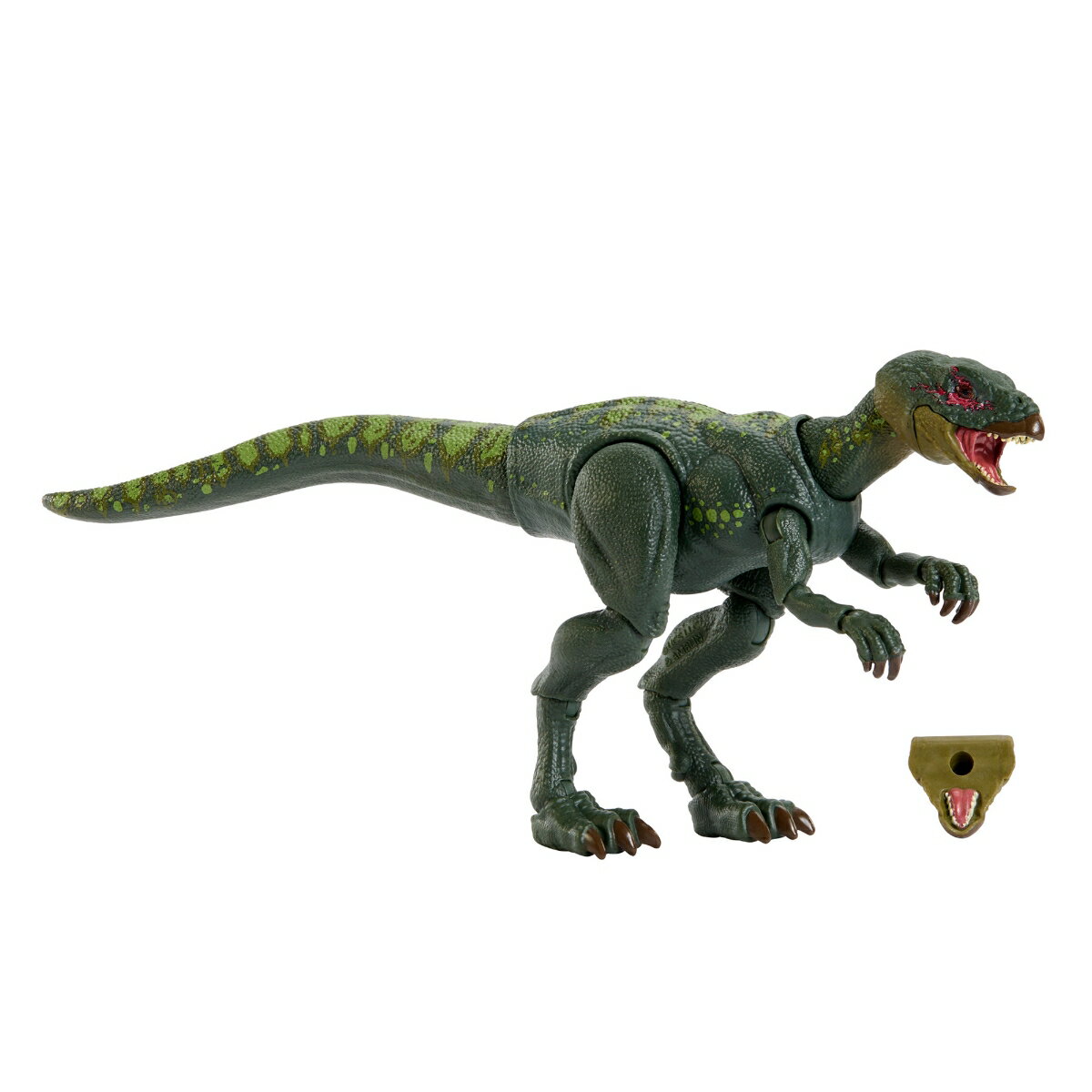 マテル ジュラシックワールド(JURASSIC WORLD)　ハモンド・コレクション ヒプシロフォドン 可動フィギュア 全長:約20cm 交換パーツ付き コレクター向け 8歳から グリーン JKM94