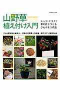 山野草植え付け入門 レッツ、トライ！草の匠とつくるさんやそう作品 （別冊趣味の山野草）