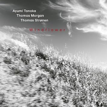 【輸入盤】ウィンドフラワー