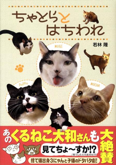 ちゃとらとはちわれ 1巻 表紙
