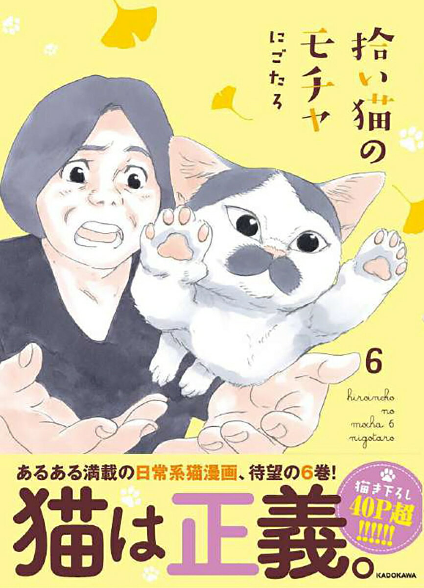 拾い猫のモチャ6 [ にごたろ ]