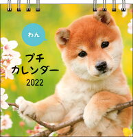 2022　わん　プチカレンダー　【S1】