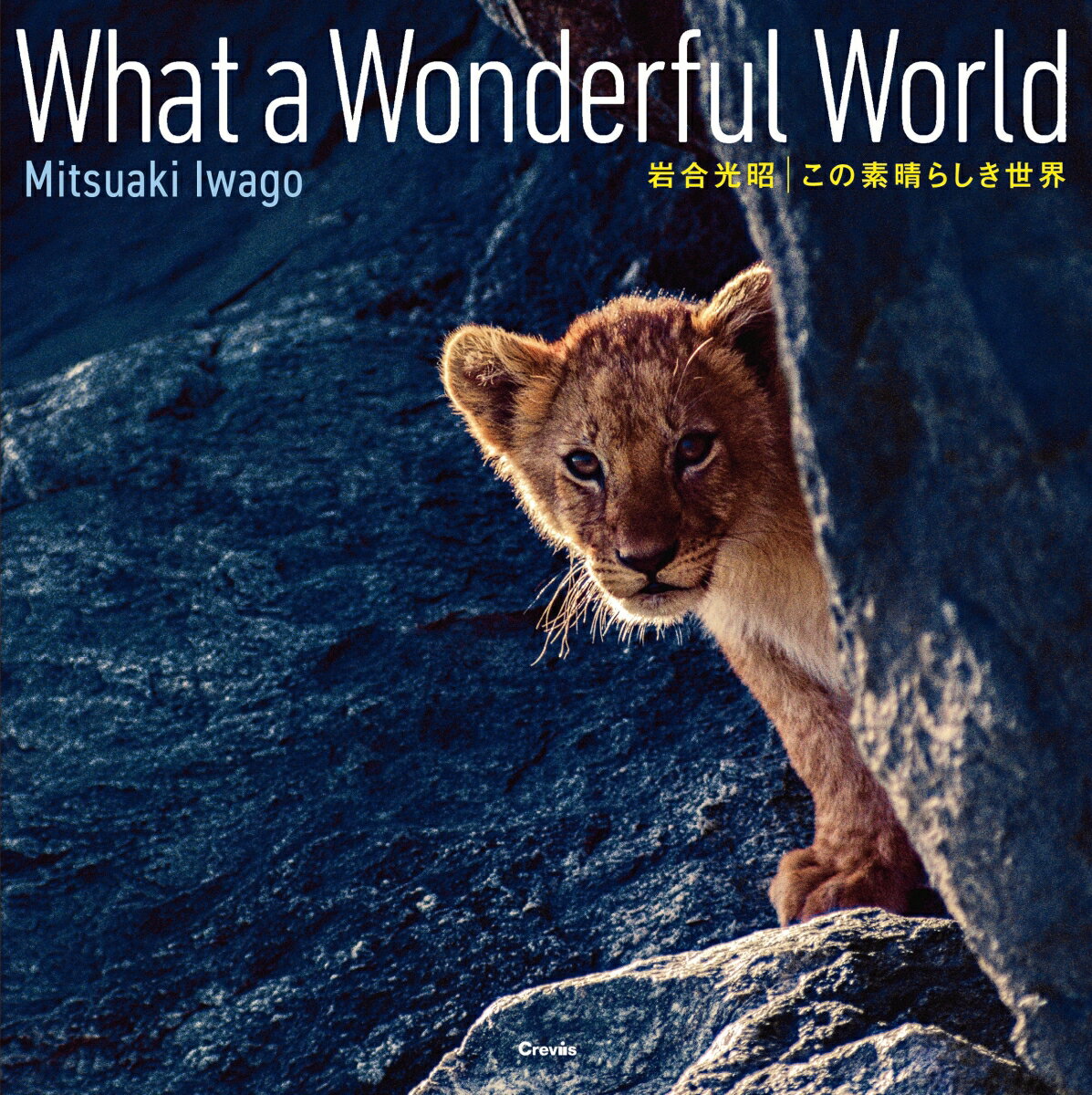 この素晴らしき世界　What a Wonderful World