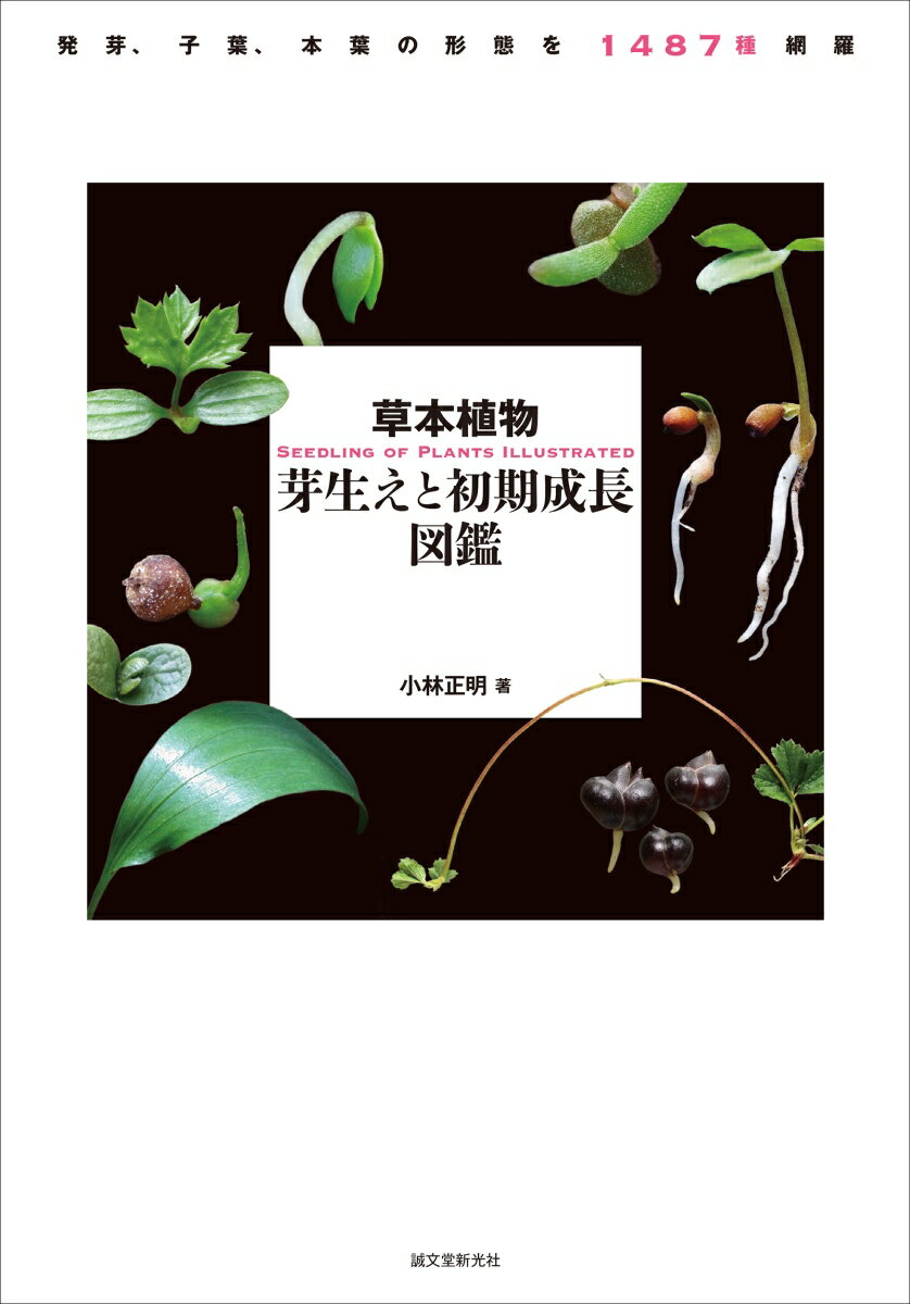 草本植物 芽生えと初期成長図鑑