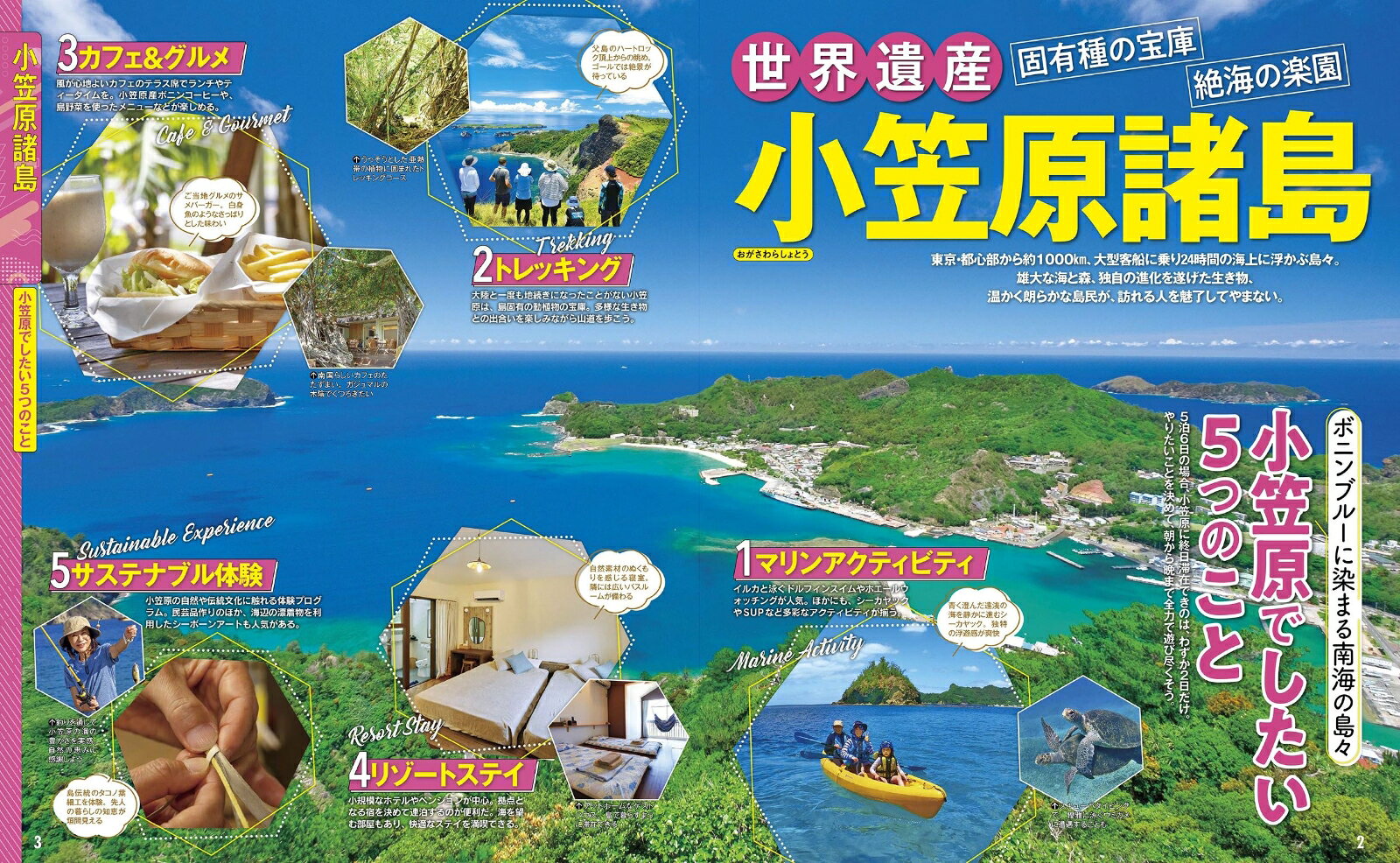 るるぶ小笠原 伊豆諸島 （るるぶ情報版） [ JTBパブリッシング 旅行ガイドブック 編集部 ] book-21445254 楽天ブックス サンプル画像3