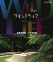 NHK VIDEO::ワイルドライフ 京都法然院 いのちの庭【Blu-ray】 [ (ドキュメンタリー) ]
