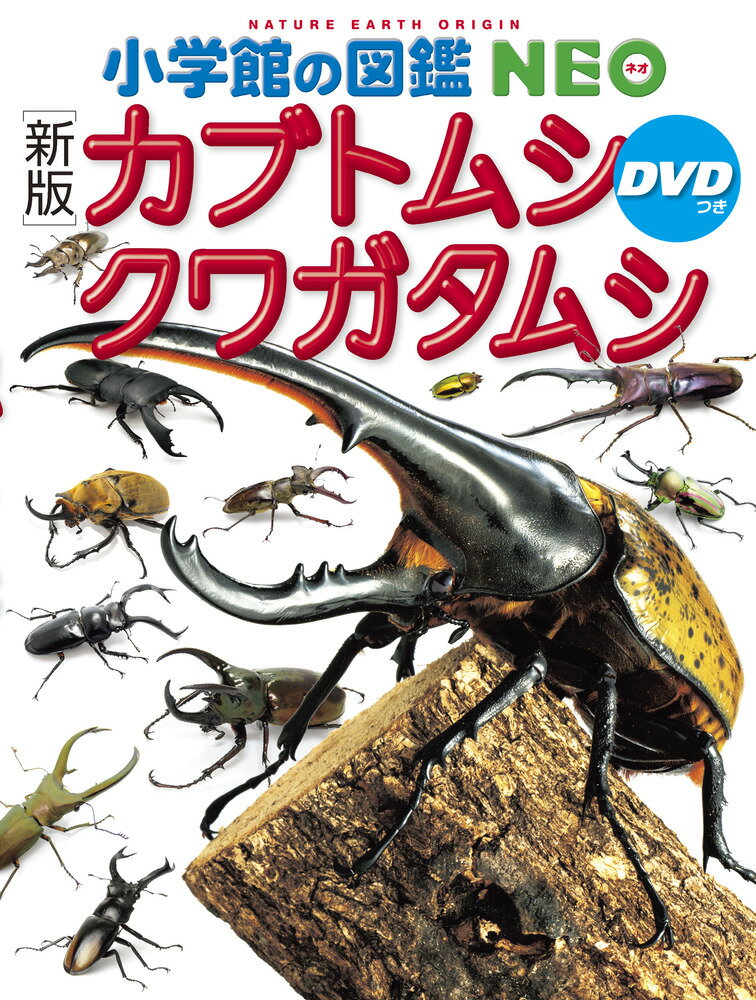 ［新版］カブトムシ・クワガタムシ DVDつき