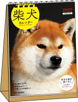 2022 柴犬カレンダー 卓上書き込み式 B6タテ 【S3】