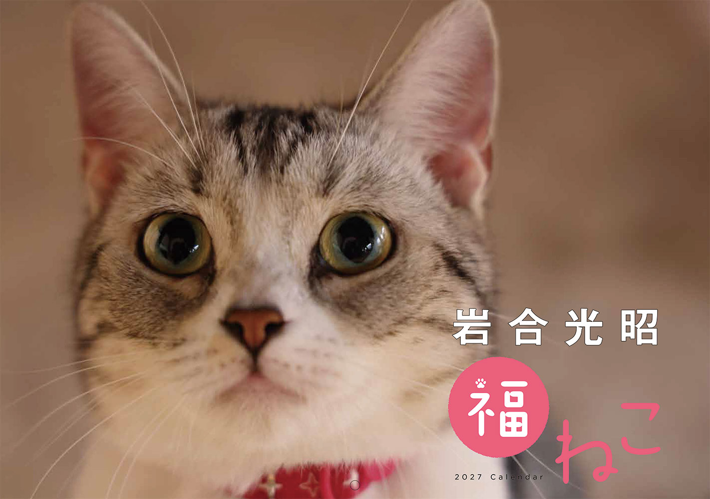 岩合光昭　福ねこカレンダー2027