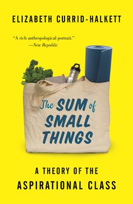 The Sum of Small Things: A Theory of the Aspirational Class SUM OF SMALL THINGS [ Elizabeth Currid-Halkett ]