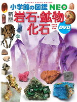 〔新版〕岩石・鉱物・化石 DVDつき