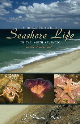 A Photographic Guide to Seashore Life in the North Atlantic: Canada to Cape Cod PHOTOGRAPHIC GT SEASHORE LIFE [ J. Duane Sept ]