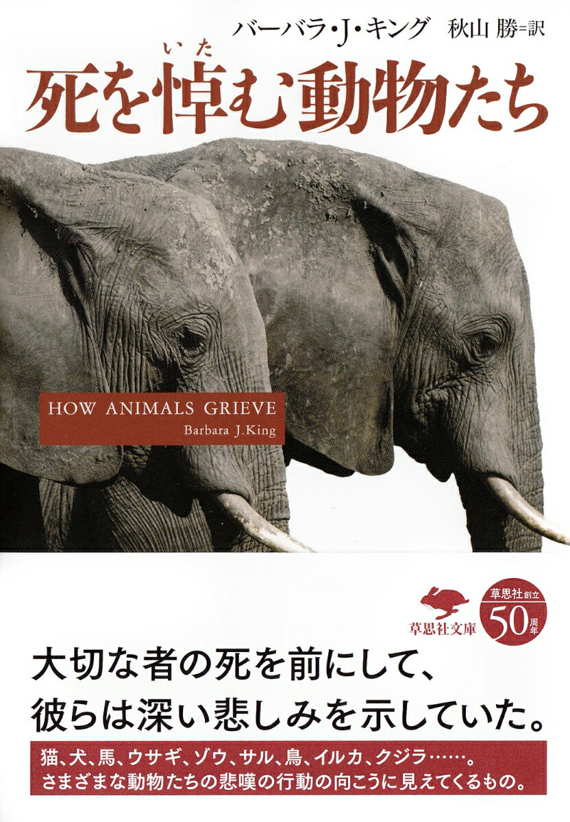 動物たちは家族や仲間の「死」を悲しんでいるのか。これまで科学は、人間の感情を安易に動物に投影することを禁じてきた。だが近年、死をめぐる動物たちの驚くべき行動が次々と報告され、自然人類学者である著者も数年にわたる実地調査によって、その考えを変えざるを得なくなったという。死んだ子を離そうとしないイルカ、母親の死を追いかけるように衰弱し死んだチンパンジー、仲間の遺骸のうえに木の葉や枝をかぶせるゾウ。さらに猫や犬やウサギ、馬や鳥などきわめて多くの心揺さぶられる事例が本書では紹介される。死を悼むという行動は、人間だけのものなのだろうかー。