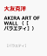 AKIRA ART OF WALL