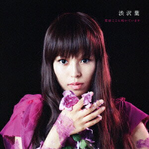 花はここに咲いています [ 渋沢葉 ]