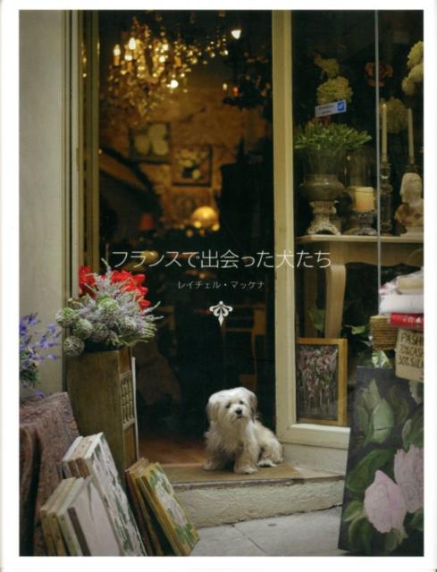 フランスで出会った犬たち