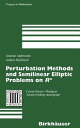 Perturbation Methods and Semilinear Elliptic Problems on R]n PERTURBATION METHODS & SEMILIN （Progress in Mathematics） [ Antonio Ambrosetti ]