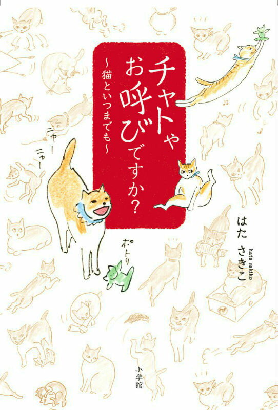 ����Ȥ䤪�ƤӤǤ�����