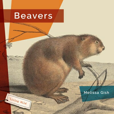 Beavers BEAVERS [ Melissa Gish ]