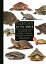 Turtles of the World: A Guide to Every Family TURTLES OF THE WORLD Guide to Every Family [ Jeffrey E. Lovich ]